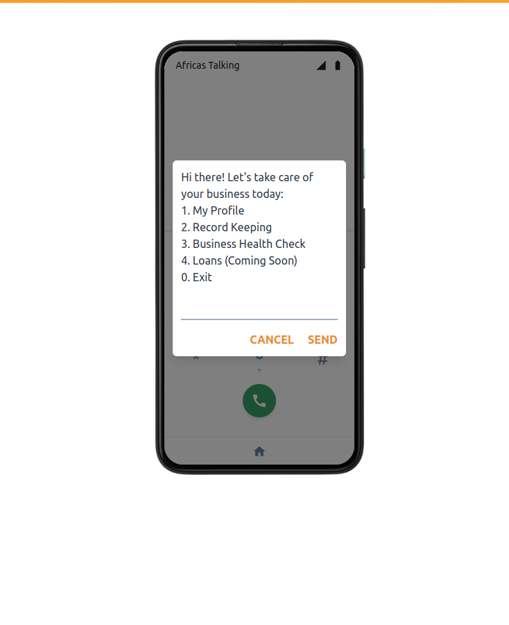 USSD Application